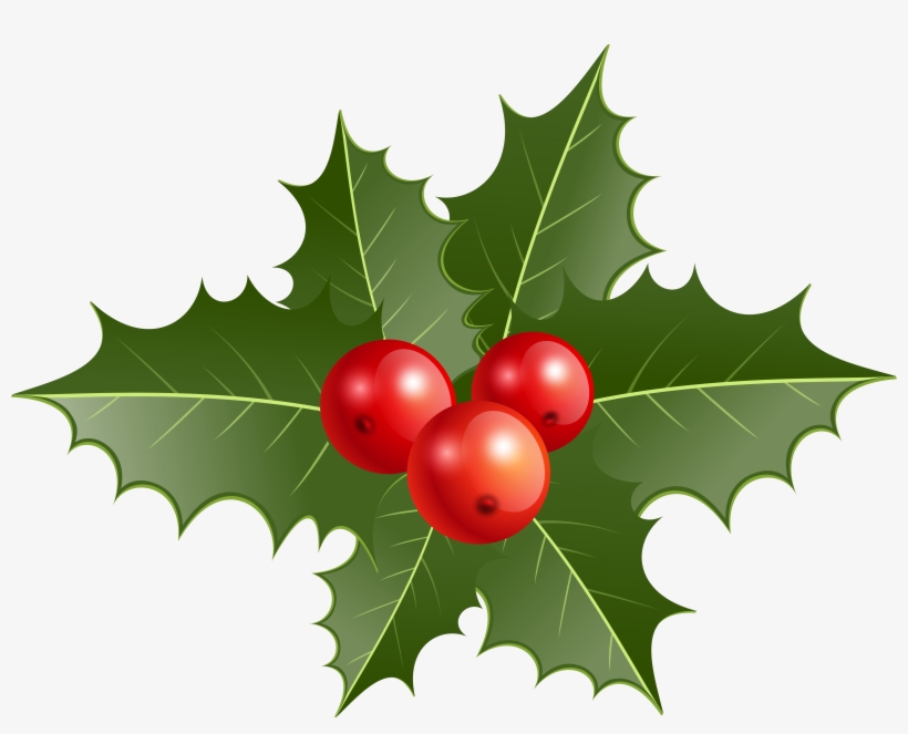 Holly Png, transparent png