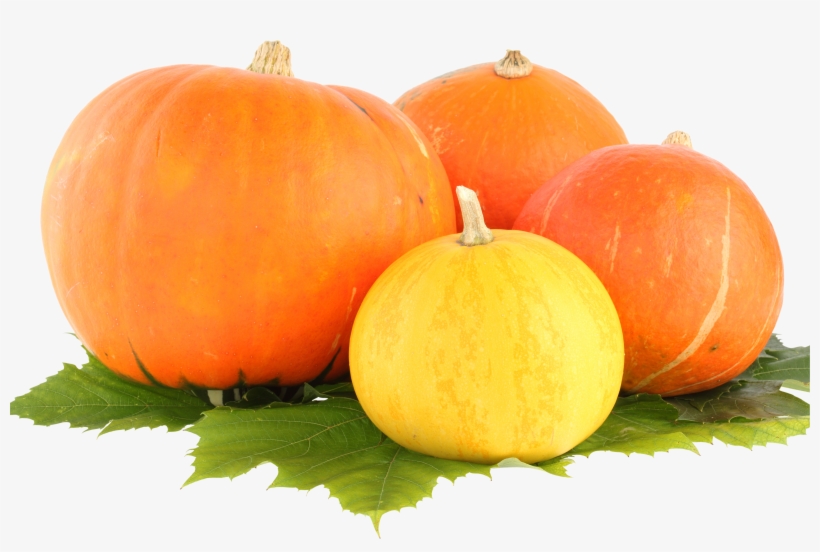 Pumpkin Png Image - Pumpkin Png, transparent png