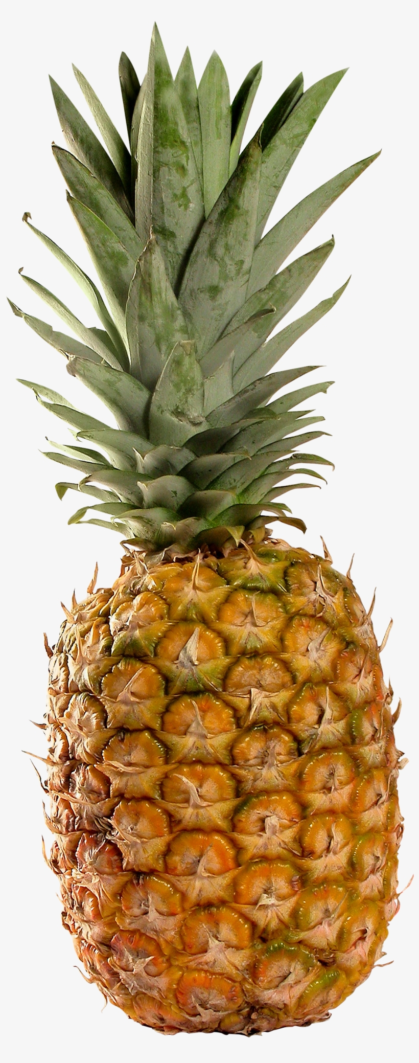 Pineapple Png Image, Free Download, transparent png