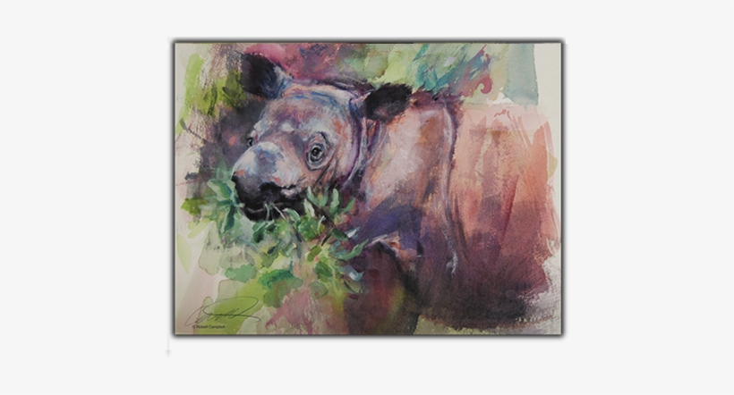 Sumatran Baby Rhino Print - Sumatran Rhinoceros, transparent png
