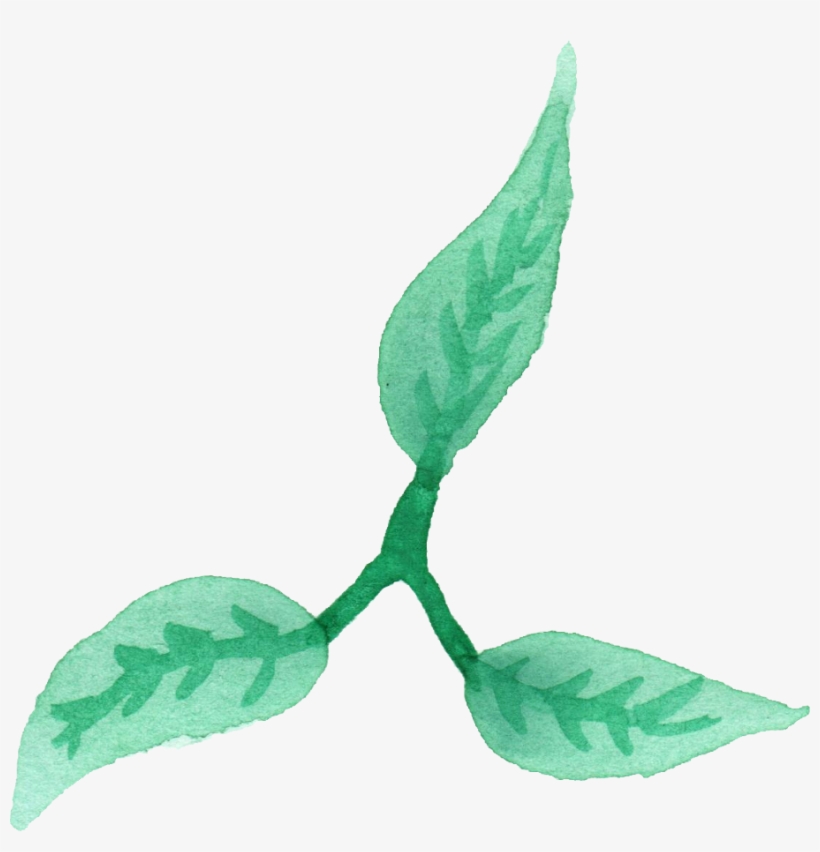 25 Watercolor Leaf Vol - Illustration, transparent png