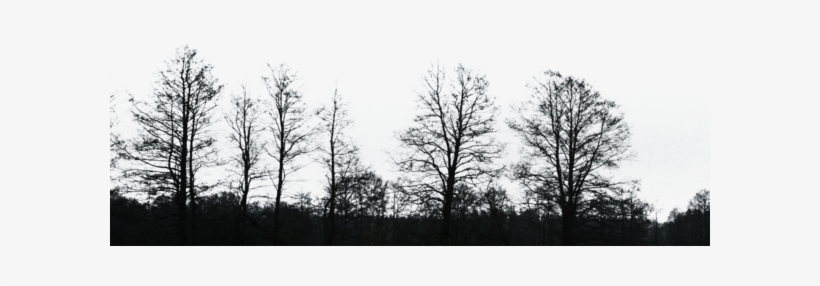 Black Tree Png Image - Black And White Trees Png, transparent png