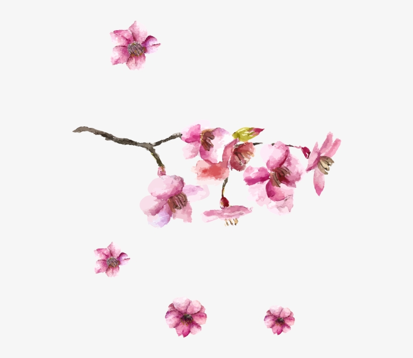 Japanese Art Cherry Blossom Drawing - Cherry Blossom Japan Art, transparent png