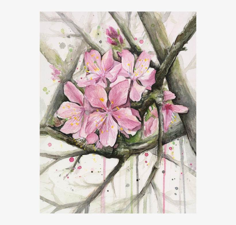 Click And Drag To Re-position The Image, If Desired - Cherry Blossom, transparent png