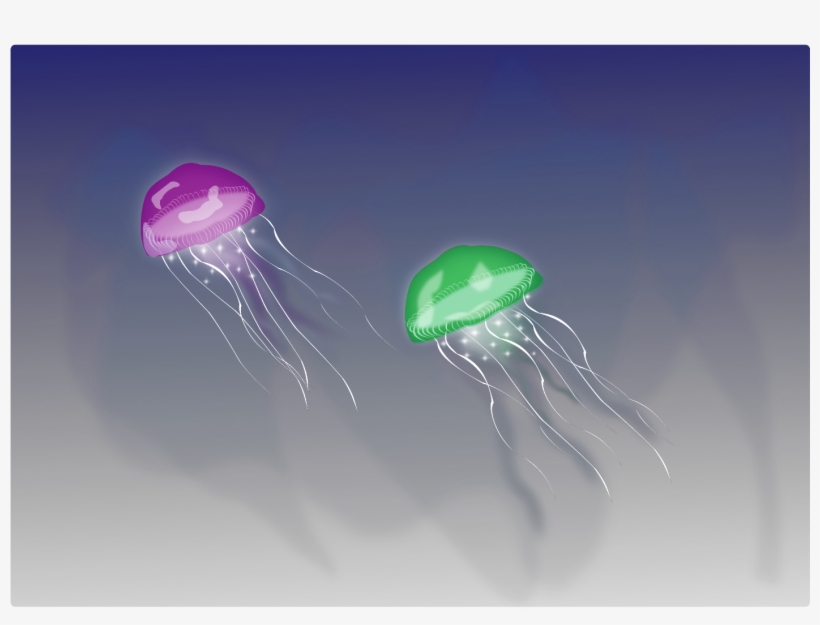 Report Abuse - Jellyfish, transparent png
