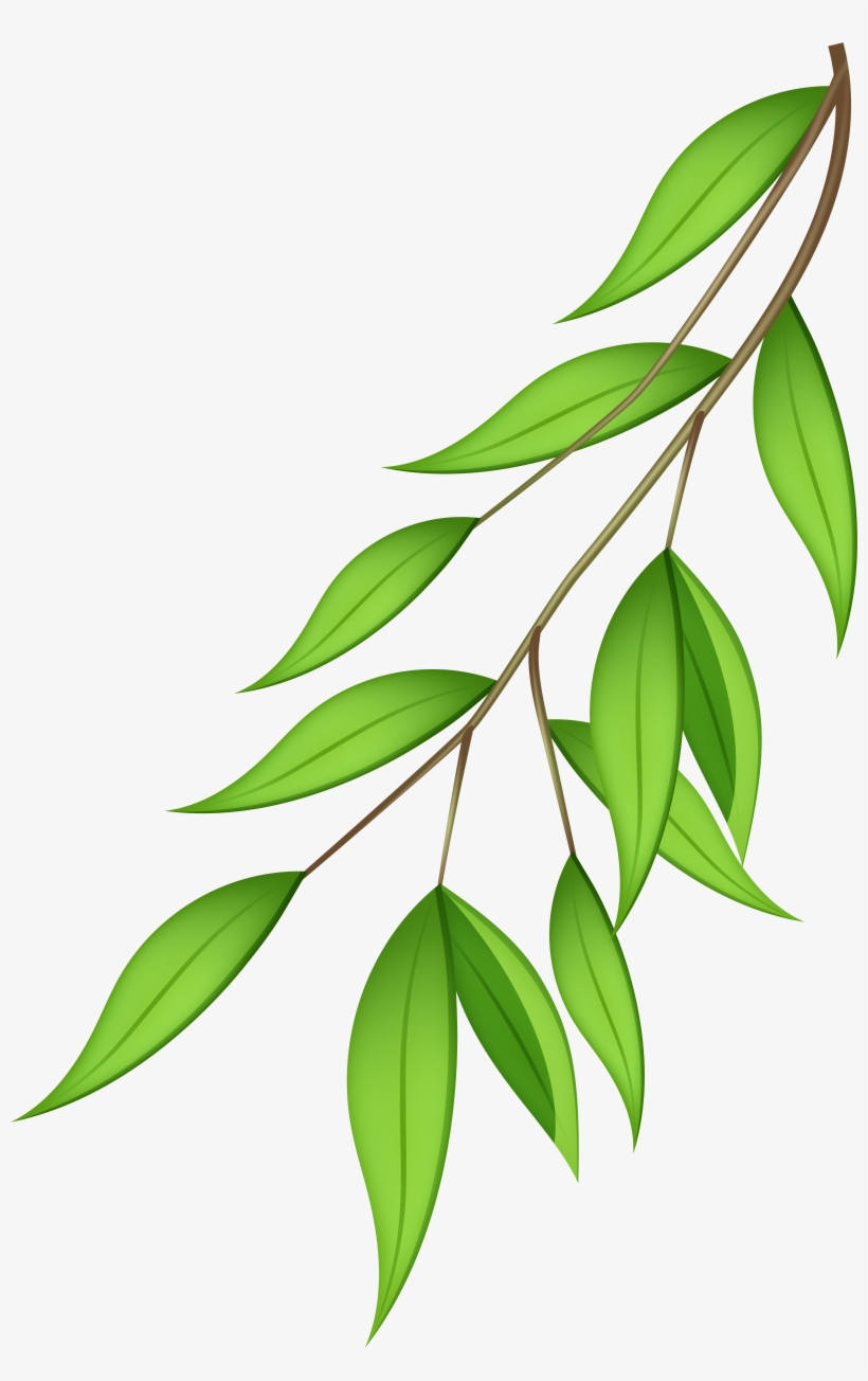 Clip Art, transparent png