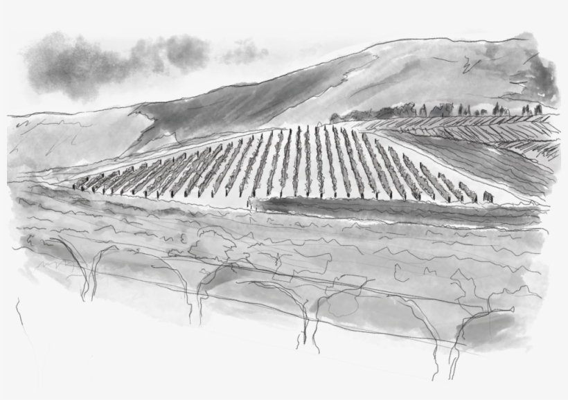 Block45 - Art, transparent png