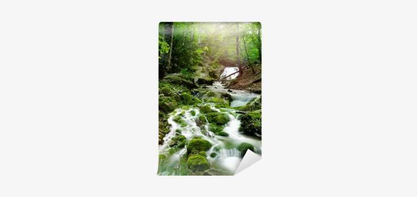 Glasbild Mystic Ways, Kunstdruck Pro-art Größe: 20, transparent png