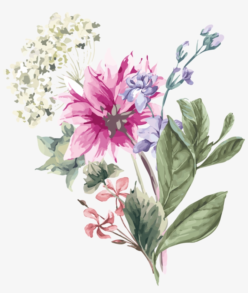 Hydrangea Flower Stock Illustration Illustration - Spring Flowers Paint, transparent png