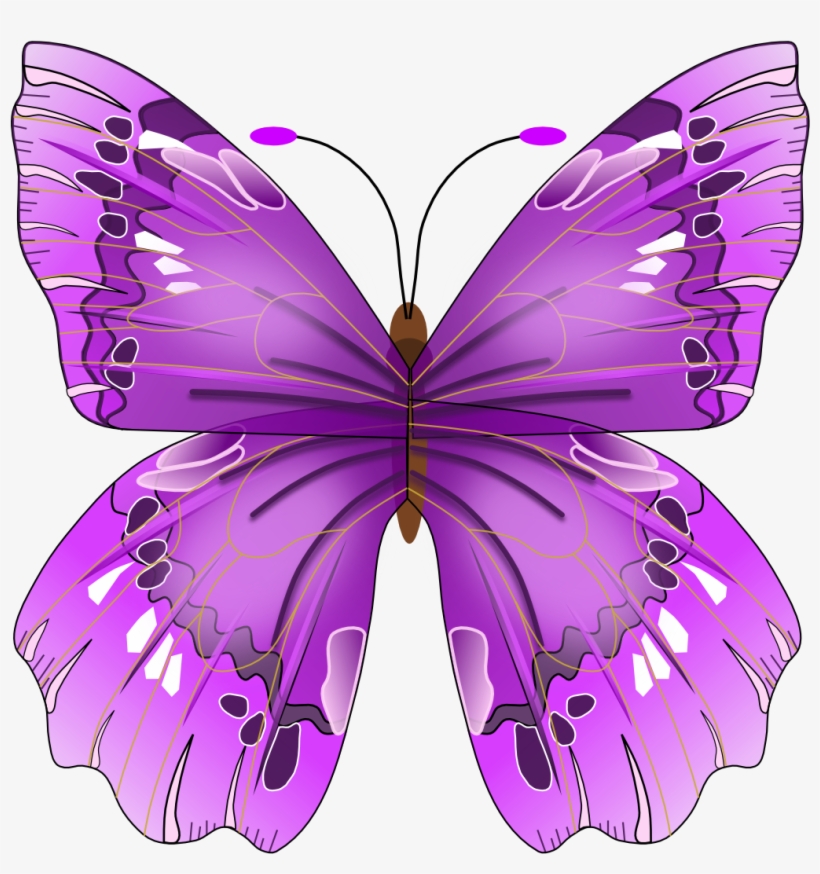 Butterfly - Purple Butterfly Vector Free, transparent png
