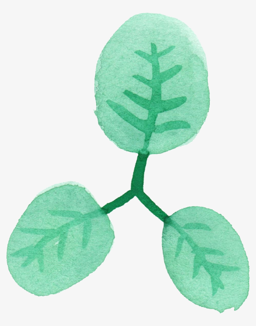 Leaf Png Transparent Vol Onlygfx Com - Watercolor Painting, transparent png