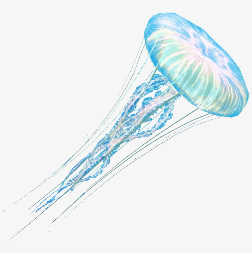 Ac4db - Jellyfish - Assassin's Creed, transparent png