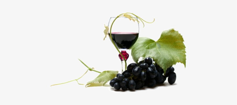 Wine Png Clipart - Grapes And Wine Png, transparent png