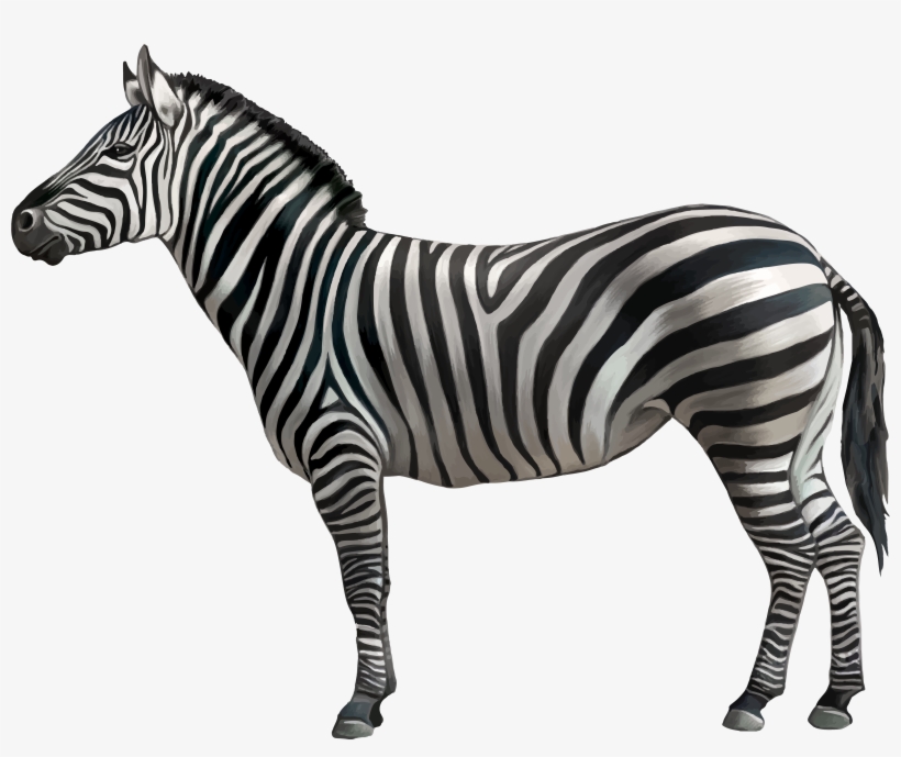 Animals Png, transparent png