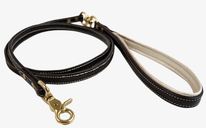 Signature Dog Leash - Dog, transparent png