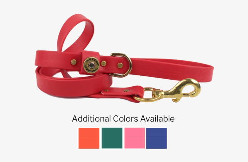 Water Dog Leash - Dog, transparent png