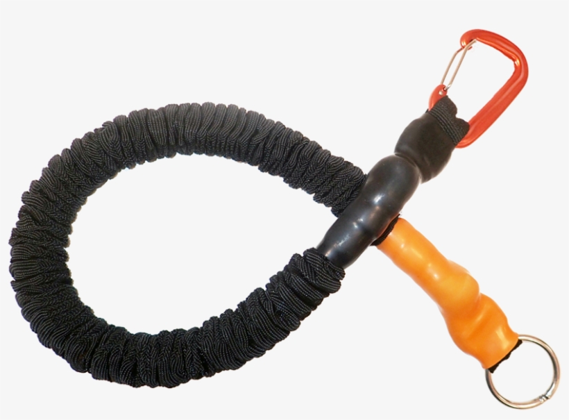 Stress-free Training - Leash, transparent png