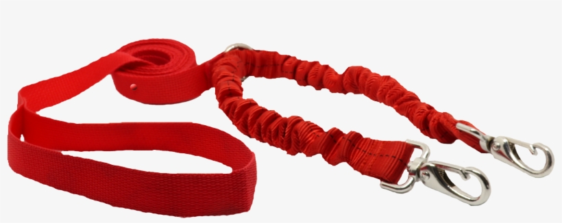 About Mdxone - Pet Harness, transparent png