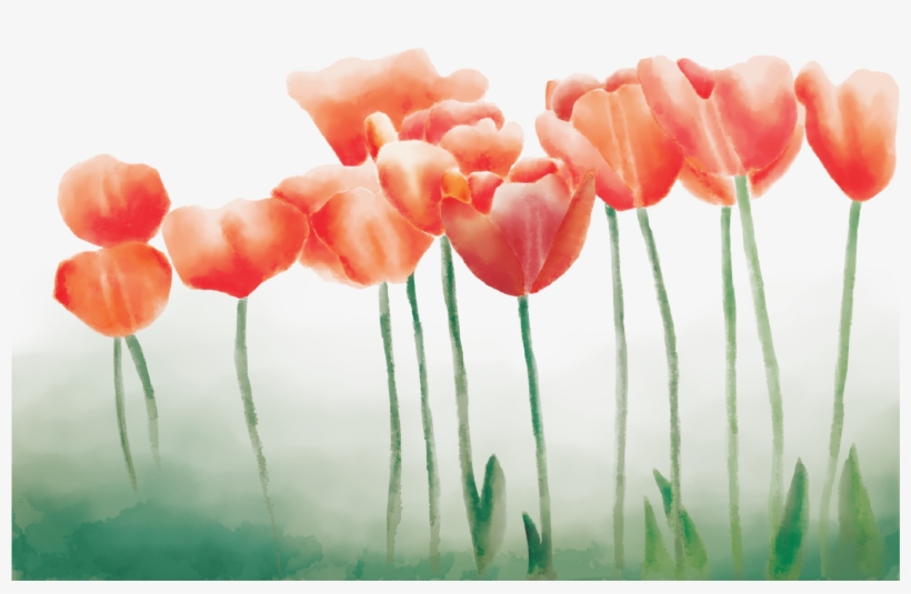 Faith Creative Studio - Studio, transparent png