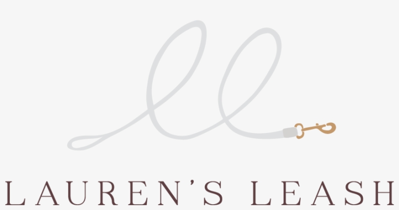 Leash, transparent png