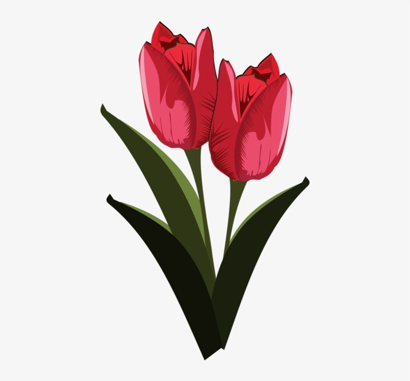 Tulip Clipart Pretty Flower - Public Domain Clip Art Flower, transparent png
