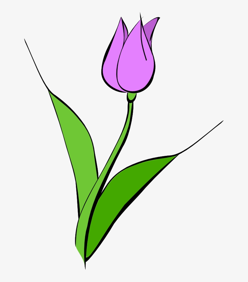 Purple - Tulipa Clipart, transparent png