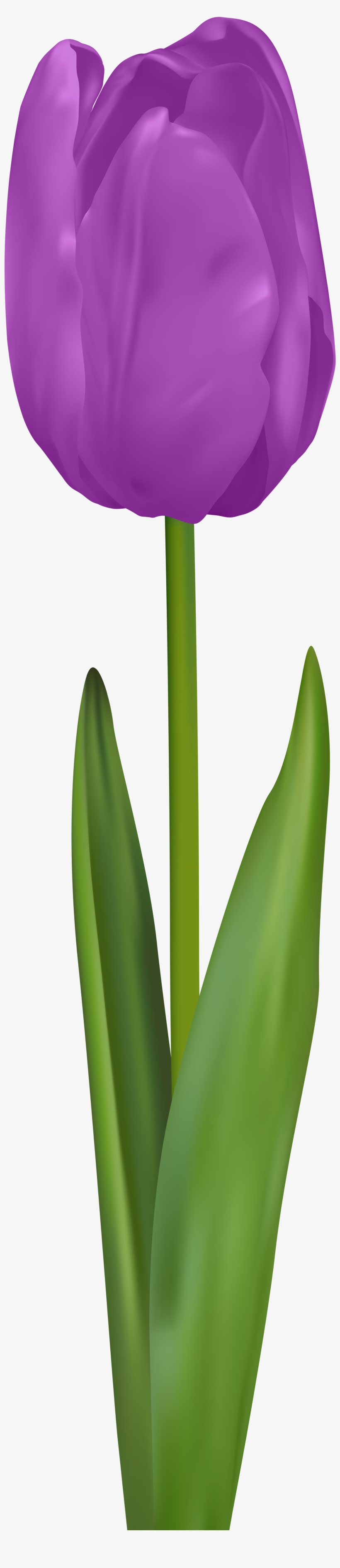 Drawing, transparent png