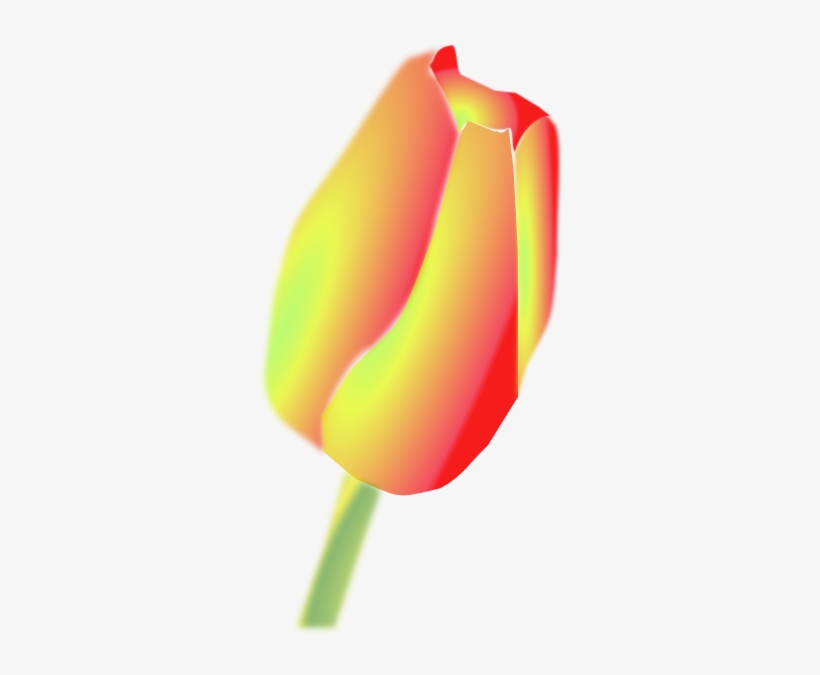 How To Set Use Cartoon Tulip Icon Png, transparent png