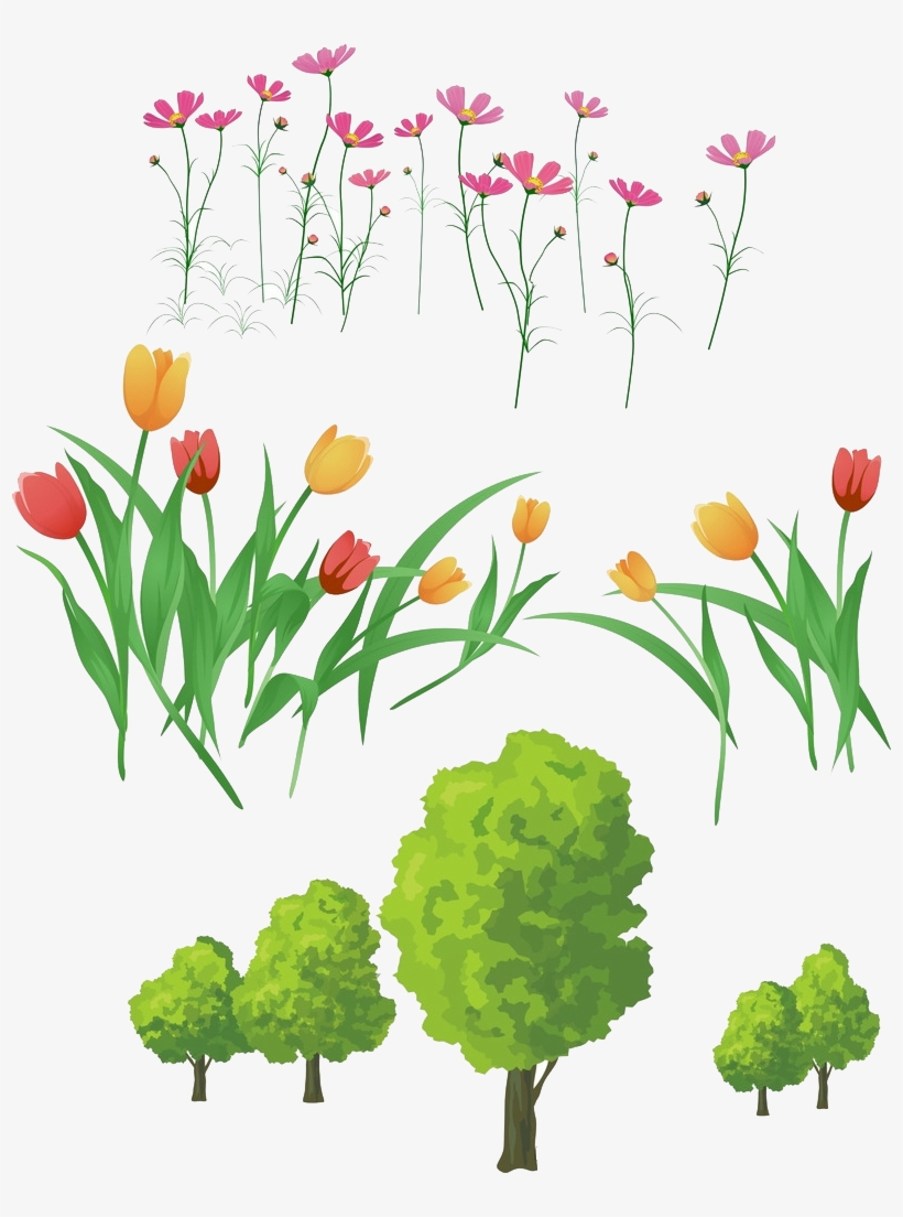 Flower Download Clip Art Colored Tulips Transprent - Background, transparent png