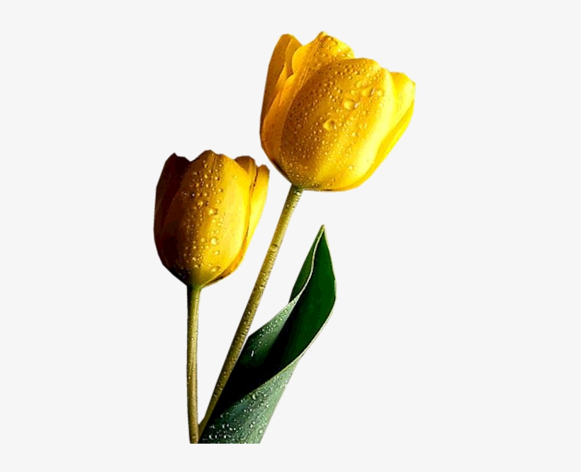 This Png Image - Divine Inspirations And Prayers, transparent png