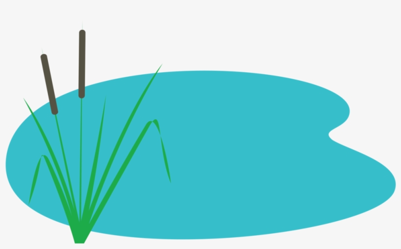 Too Much Water - Pond Png, transparent png