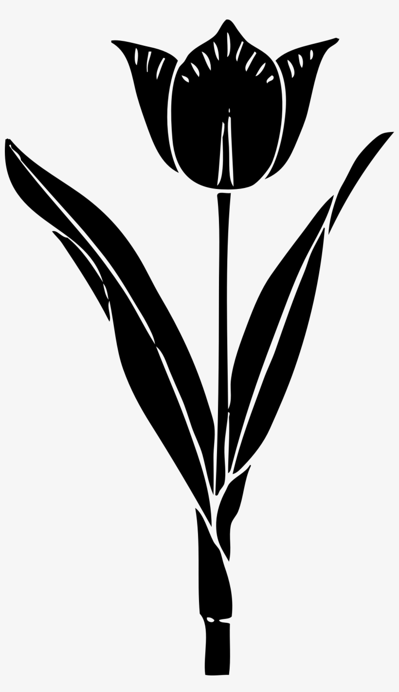 Black And White Panda Free Images - Tulip Silhouette, transparent png