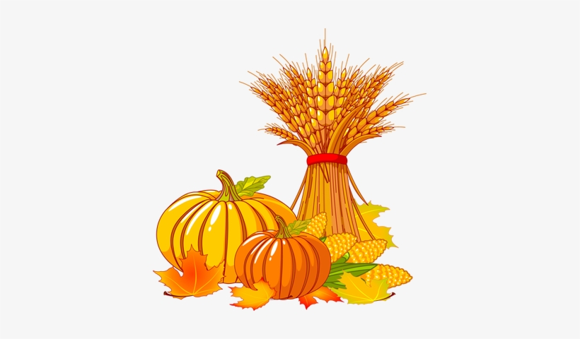 Vendors Sought For Oct - Thanksgiving Clip Art, transparent png