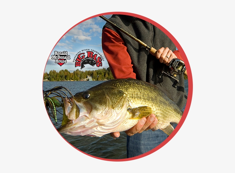 The Ronald Mcdonald Big Bass Tournament Is One Of The - Type Of Fishing Fly, transparent png