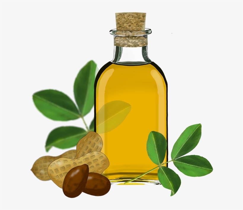 Florida Trade International, Cooking Oil - Oil Clipart Png, transparent png