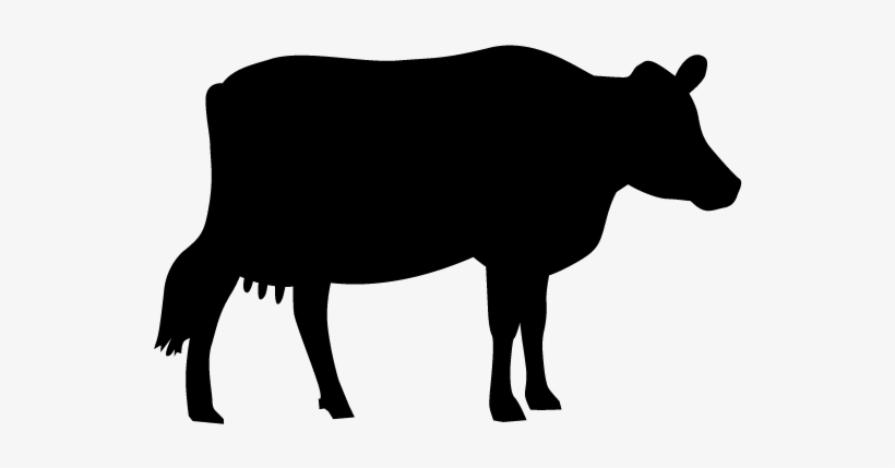 View All Images-1 - Dairy Cow, transparent png