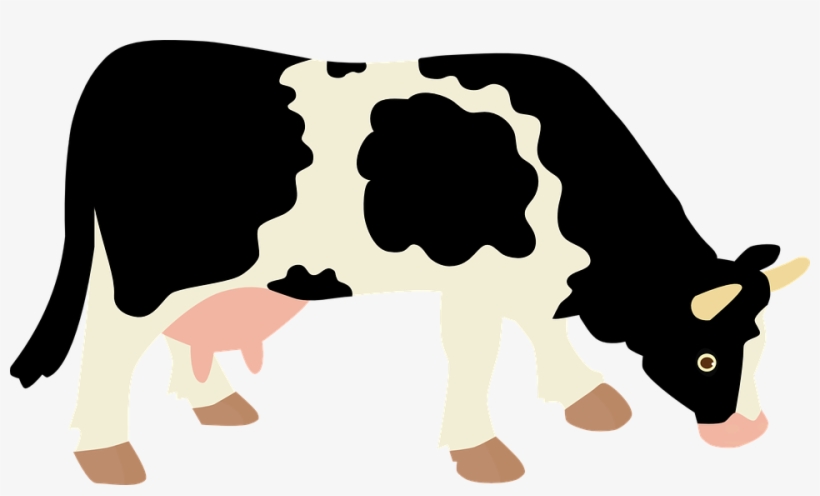 Beef Clipart Cow Milk Pencil And In Color Beef Clipart - Cow Vector Png, transparent png