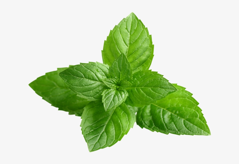 Clear Revive Peppermint Essential Oil - Isabellas Clearly Free Dandruff Irritated Itchy Scalp, transparent png