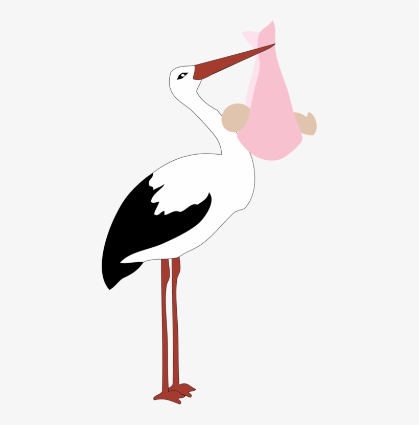 Stork Clipart Baby Png - Baby Girl Png Stork, transparent png