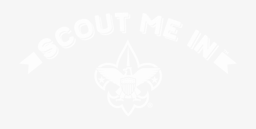 New Testament With Psalms And Proverbs-ceb, transparent png
