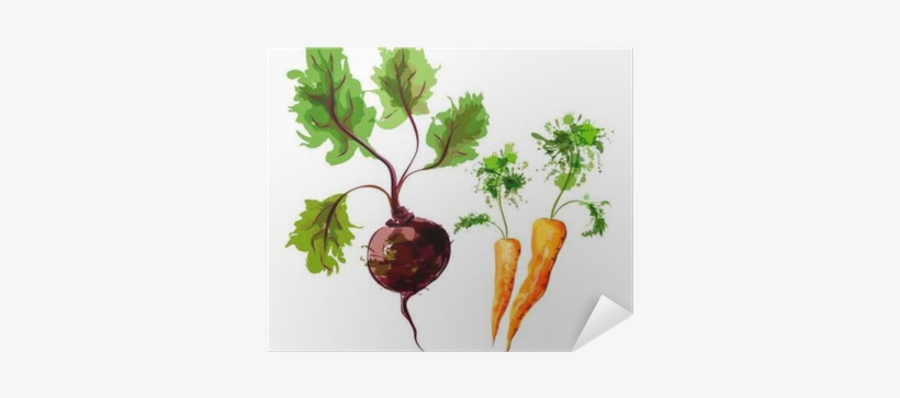 Set Of Vector Watercolor Vegetables - Vegetable, transparent png