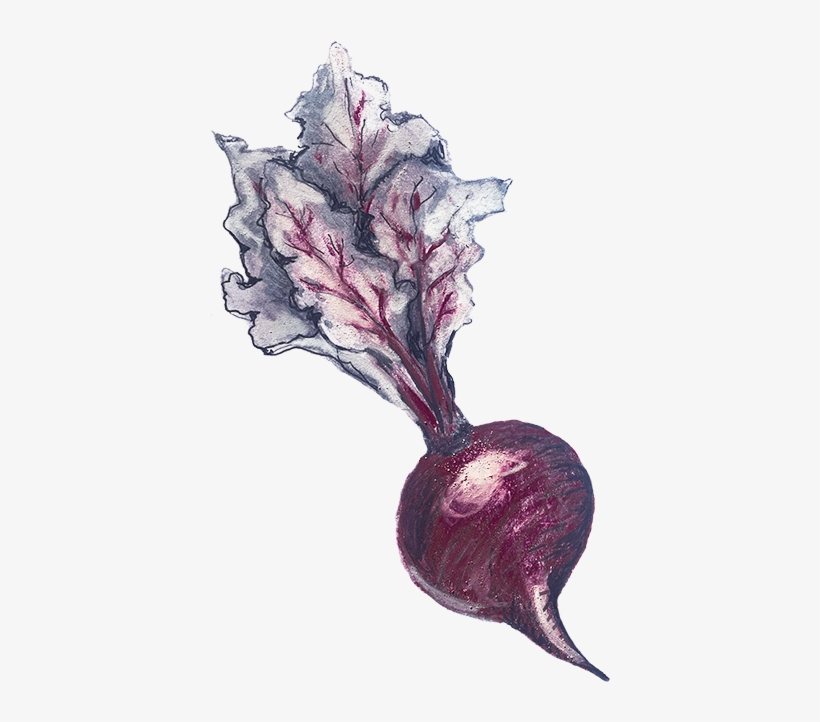Solo Beet1920x716 - Natural Rate Of Interest, transparent png