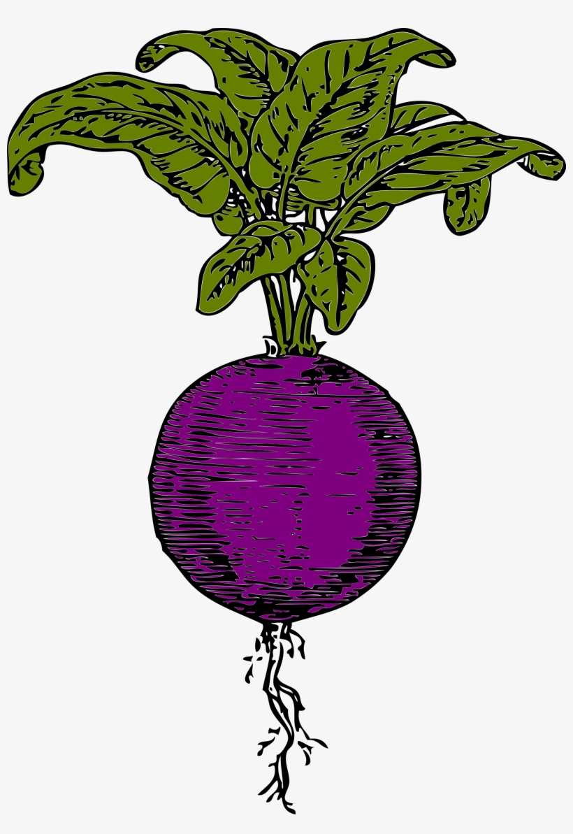 This Free Icons Png Design Of Purple Beet, transparent png