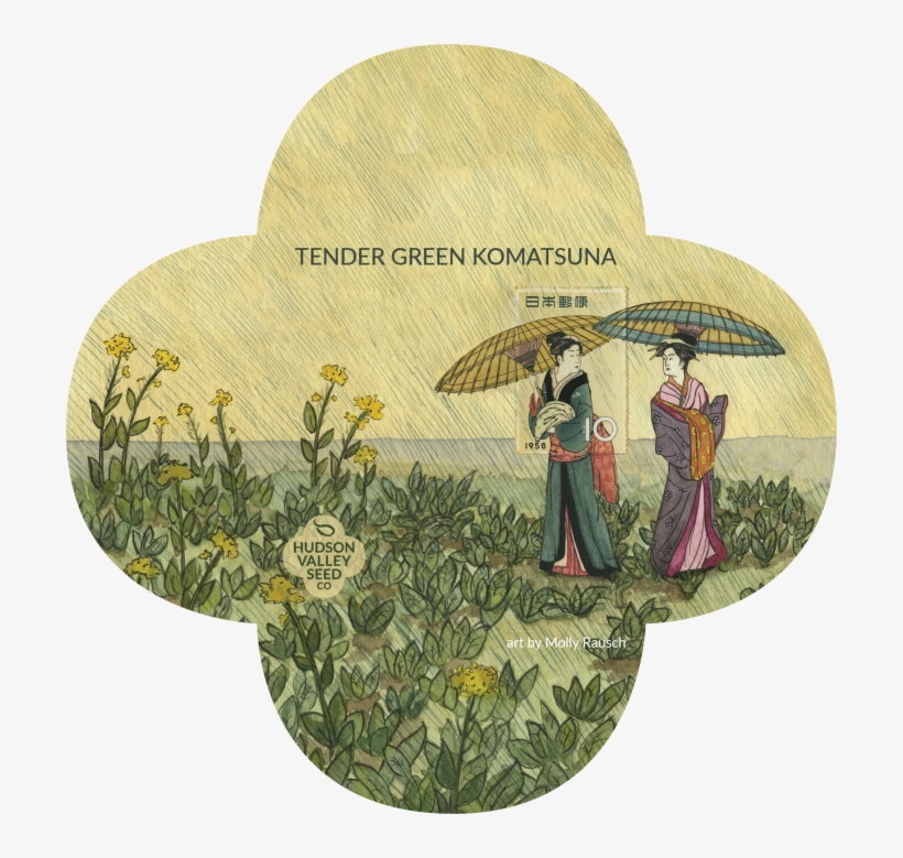 Tendergreen Komatsuna - Komatsuna Seeds, transparent png