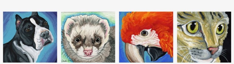 Giveaway From Carla's Creatures - Macaw, transparent png