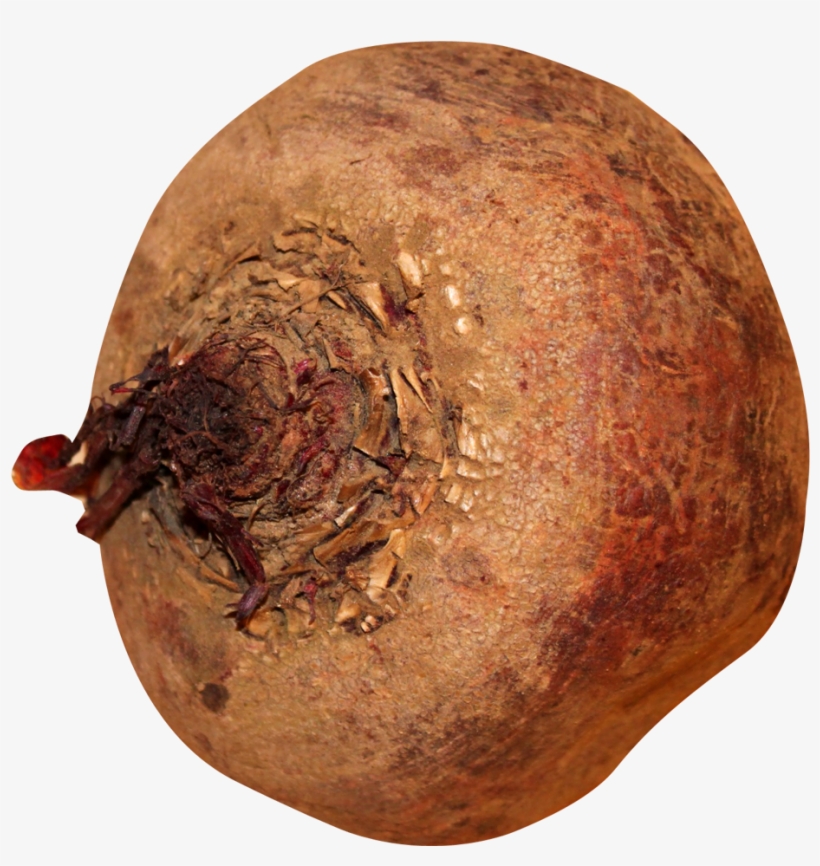 Beatroot Png Image - Beatroot Png, transparent png