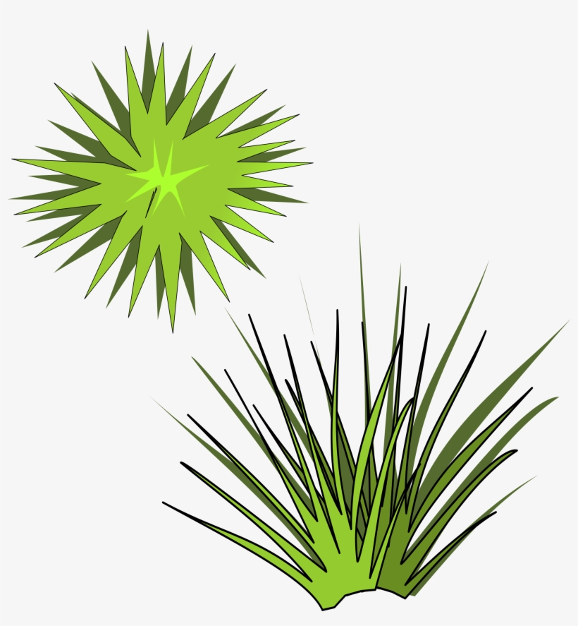 Big Image - Plant Illustration From Above, transparent png