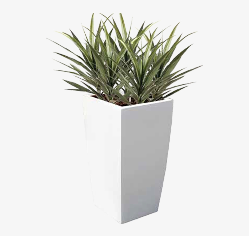 Our Choice Is Extensive, Featuring Over A Thousand - Flowerpot, transparent png
