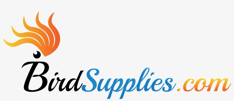 How To Choose A Parrot Collar For Feather Plucking - Tutorial Superduo Zig Zag Bracelet Pattern To Make, transparent png