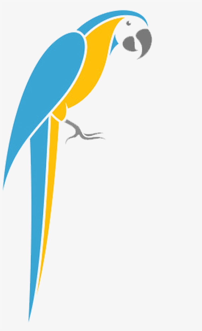 Parrot - Macaw, transparent png